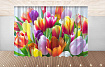 Комплект фотоштор. Тюльпаны №2