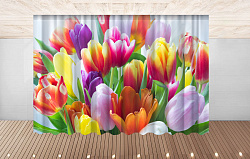 Комплект фотоштор. Тюльпаны №2
