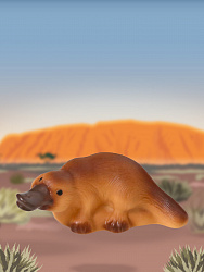 Набор Животные Австралии. Набор из 5 игрушек.