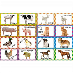 Развивающая игра "Мамы и детеныши" Часть 1