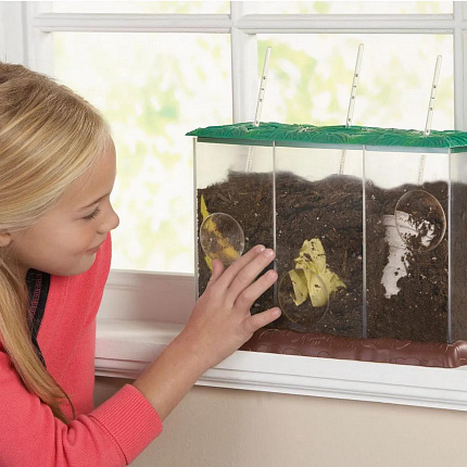 Модуль "Экология. Мусор как удобрение"