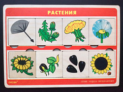 Чудеса преображений " Растения"