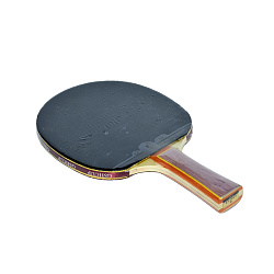 Ракетка для настольного тенниса GOLD SHIELD CUP, в чехле, 1 звезда