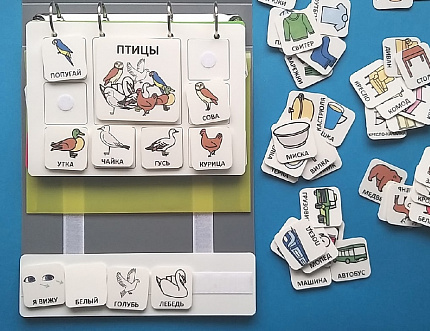 Пособие ПЕКС. ЛОТО "ОБОБЩАЮЩИЕ ПОНЯТИЯ"