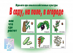 «В саду, на поле, в огороде»