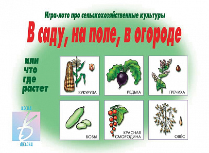 «В саду, на поле, в огороде»