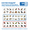 Модуль "Птицы, рыбы, насекомые России"