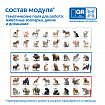 Модуль "Животные России"