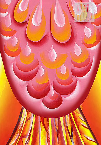 Жар-Птица пончо для детей