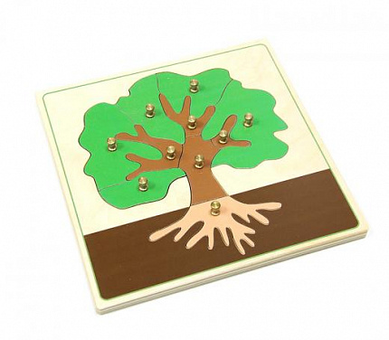 Ботанические рамки-вкладыши