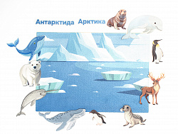 Обиталети Арктики и Антарктики (12 дет.)