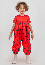 Божья коровка / Песочник малышковый