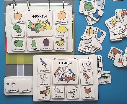 Пособие ПЕКС. ЛОТО "ОБОБЩАЮЩИЕ ПОНЯТИЯ"