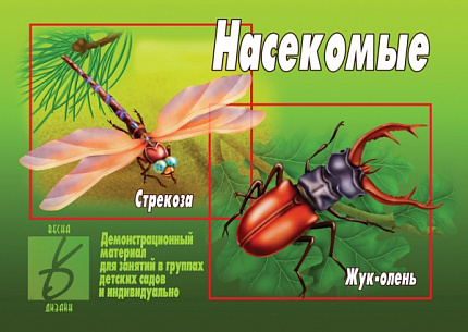 «Насекомые»