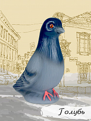 Изучаем птиц. Коллекция 4