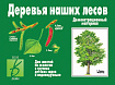«Деревья наших лесов»