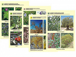 Гербарий фотографический по географии