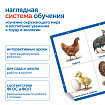 Модуль "Наше сельское хозяйство. Домашние животные и птицы"