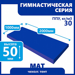 Мат гимнастический 1000х2000х50 мм