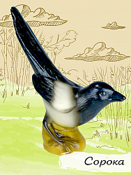 Изучаем птиц. Коллекция 4