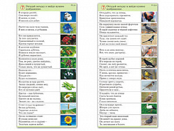 Комплект карточек (10) "Природа"