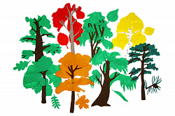 Городские деревья без игрового поля (48 дет)