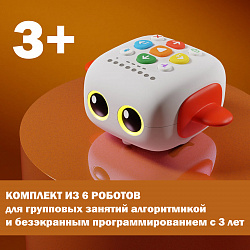 Мататалаб, Комплект для группы: НАБОР БЕЗЭКРАННЫХ РОБОТОВ TALE-BOT PRO CLASSROOM SET