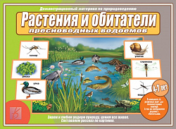 «Растения и обитатели пресноводных водоемов»