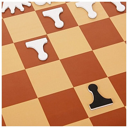 Шахматы и шашки демонстрационные магнитные