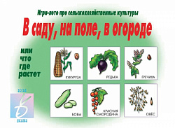 «В саду, на поле, в огороде»