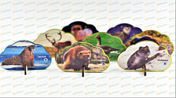 Набор фигурок ЖИВОТНЫЙ И РАСТИТЕЛЬНЫЙ МИР СЕВЕРА (фанера УФ печать)