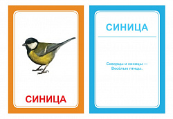 Логопедические картинки для автоматизации звука "Ц" (комплект 30 шт)