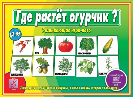 «Где растёт огурчик?»