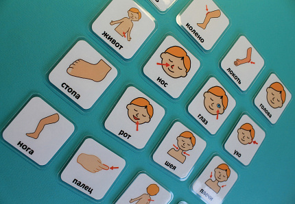 Пособие ПЕКС. Набор карточек ПЕКС «ЧАСТИ ТЕЛА»