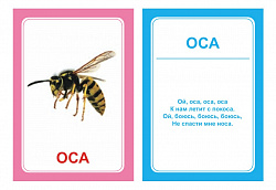 Логопедические картинки для автоматизации звука "С" (комплект 30 шт)