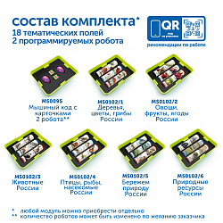 Природные богатства России с РобоМышью без системы хранения (2 робота)