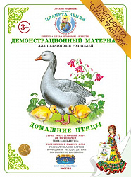 Демонстрационный материал "Домашние птицы" Страна Фантазий