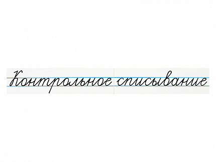 Магнитные карточки "Контрольное списывание"