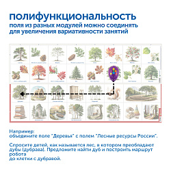 Природные богатства России с РобоМышью без системы хранения (2 робота)