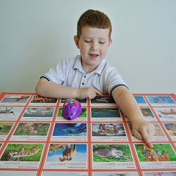 Мышиный код с карточками (4 робота)