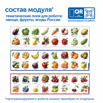 Модуль "Овощи, фрукты, ягоды России"
