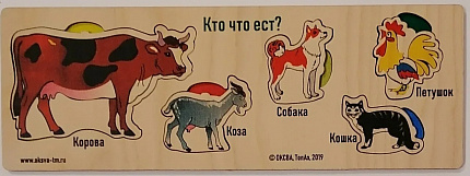 Кто где живет? (доска Сегена)