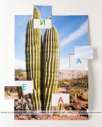 Магнитная орфография (безударные гласные, 1 класс) "Кактус"