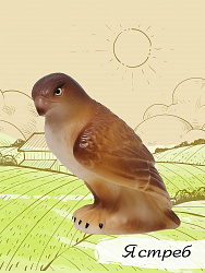 Изучаем птиц. Коллекция 2