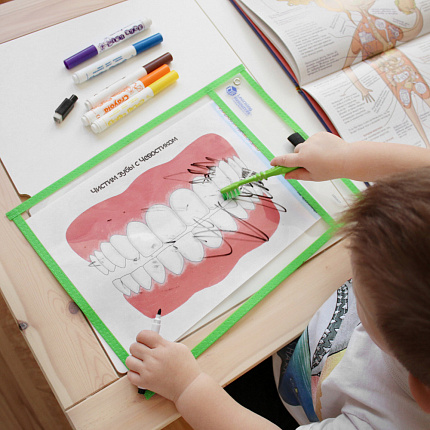 Развивающая игрушка "Пиши и стирай" (5 элементов)