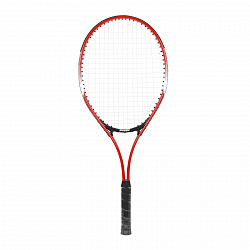 Ракетка для большого тенниса Fuyou PINBO SMASH, P-552