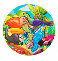 Вкладыш
Птицы