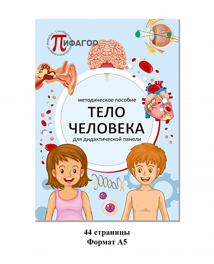 Дидактическая панель «Тело человека»