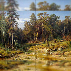 Репродукция картины И.И. Шишкина "Сосновый бор" Декорация / Занавес сцены