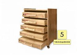 Набор психолога "ИНКЛЮЗИЯ" 5 модулей